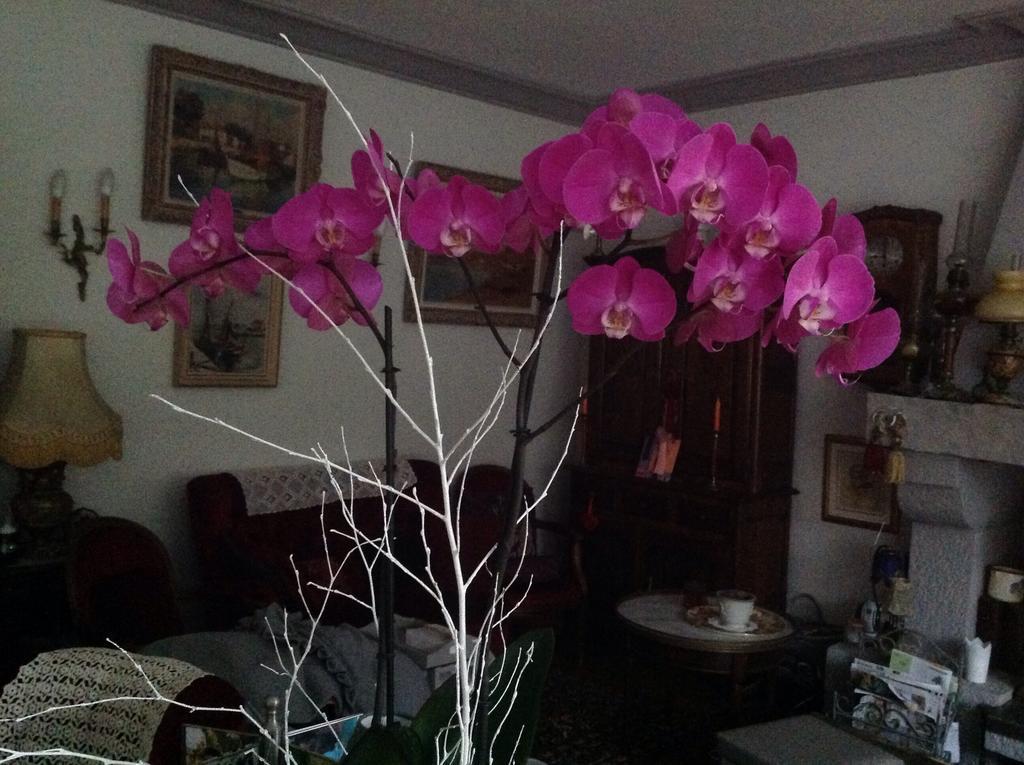 Pleurtuit La Demeure Aux Hortensias المظهر الخارجي الصورة