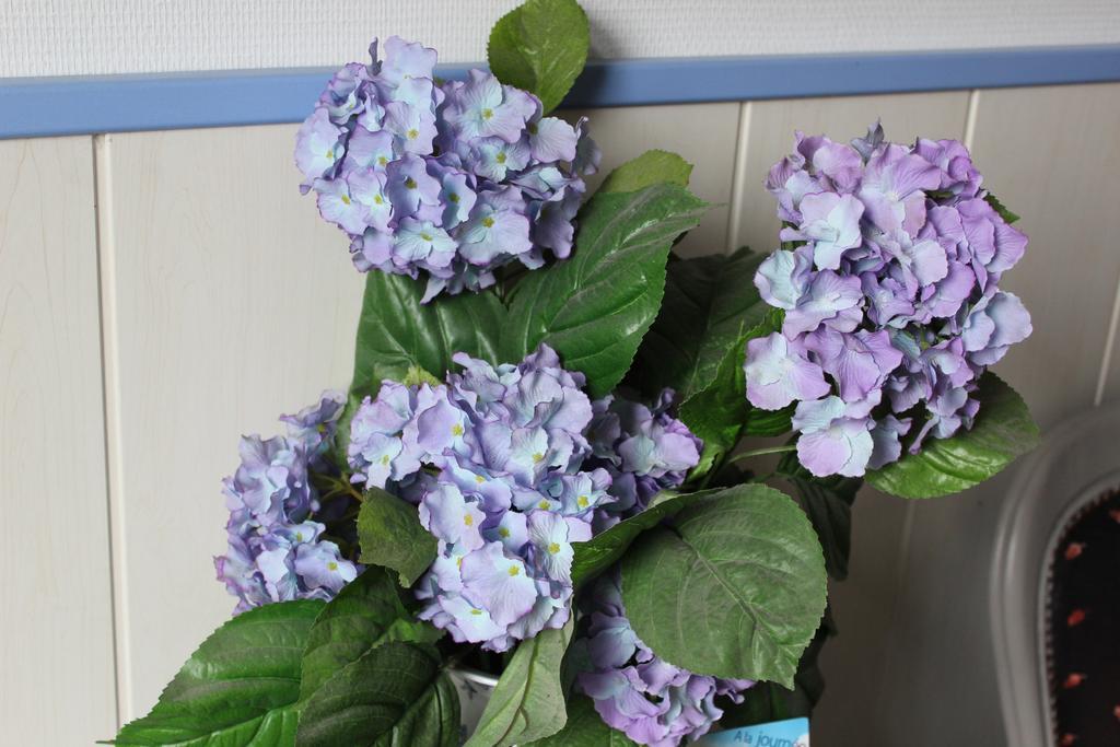 Pleurtuit La Demeure Aux Hortensias المظهر الخارجي الصورة